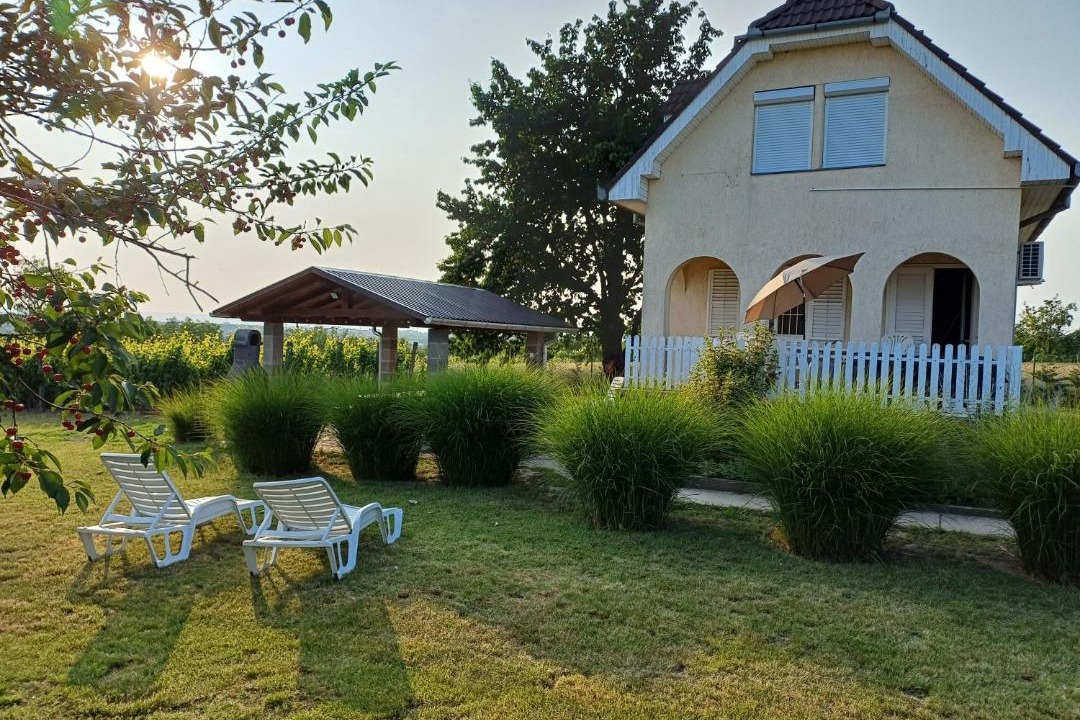 Photo of Others in Balatonkiliti