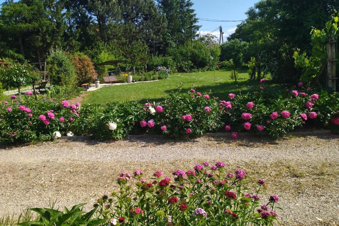 Photo of Outdoor in Cserszegtomaj