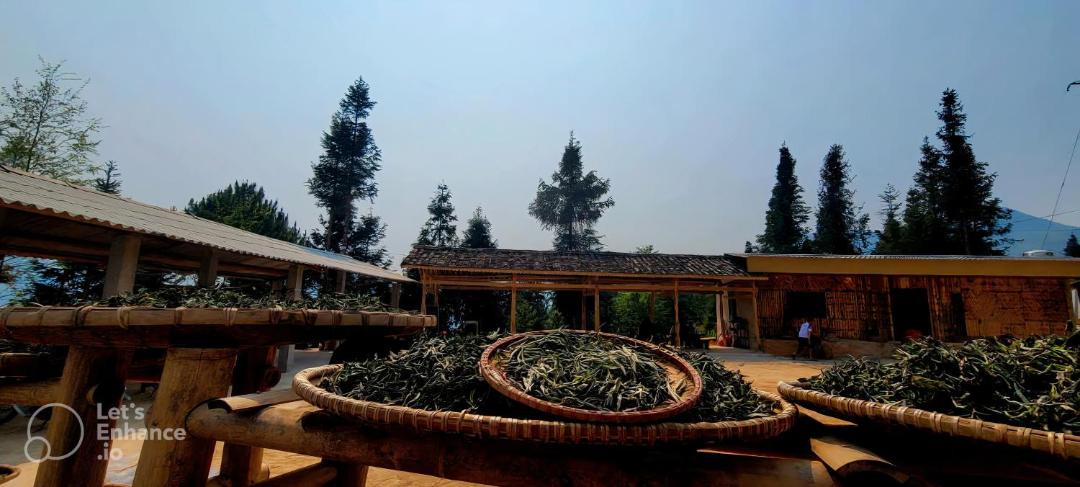 Photo of Others in Mang Yang