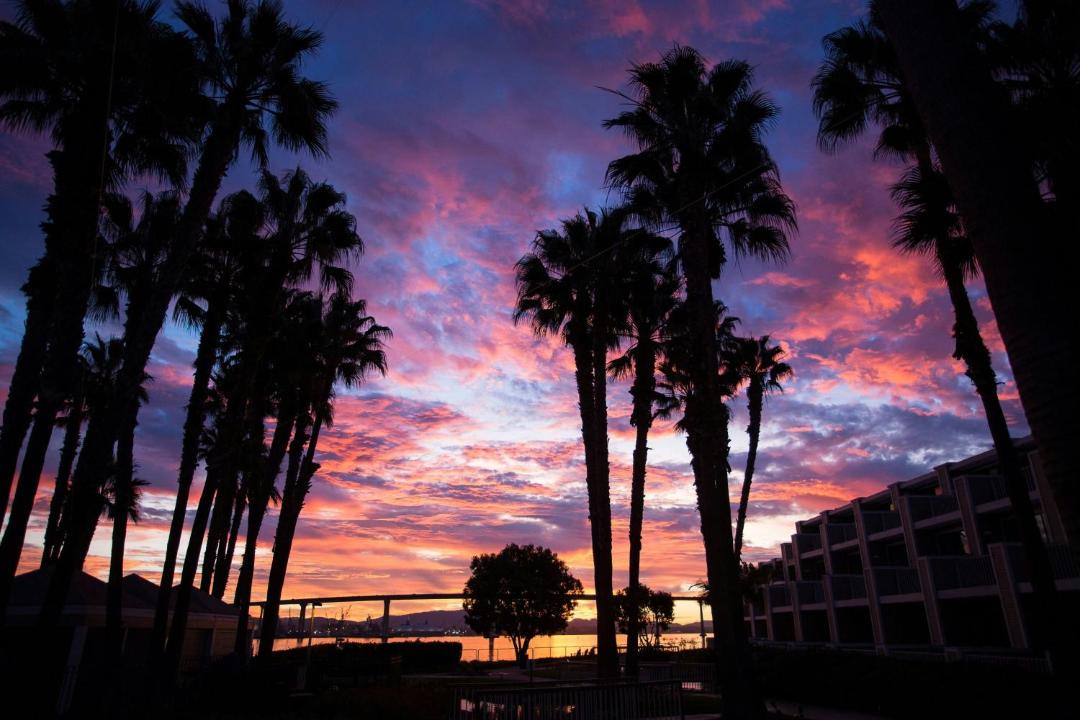 Photo of Others in Coronado
