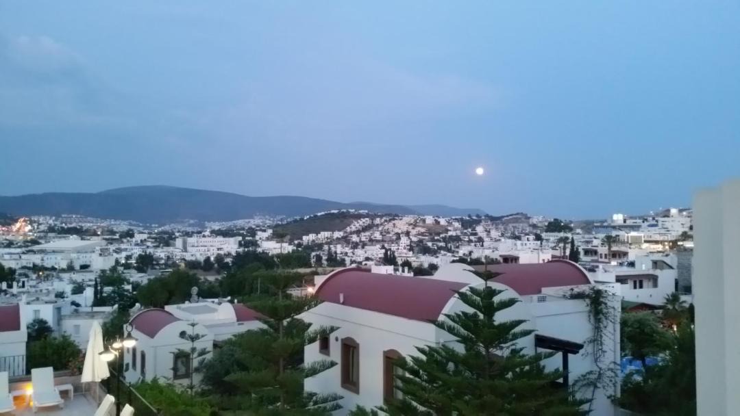 Photo of Livingroom in Bodrum City Center