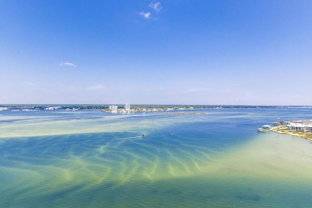 Photo of Others in Orange Beach East
