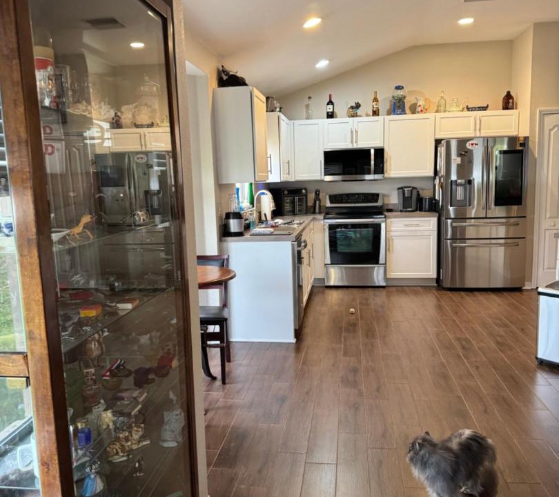 Photo of Kitchen in Ruskin