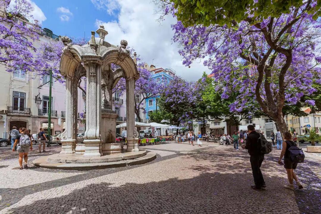 Photo of Others in Encarnacao