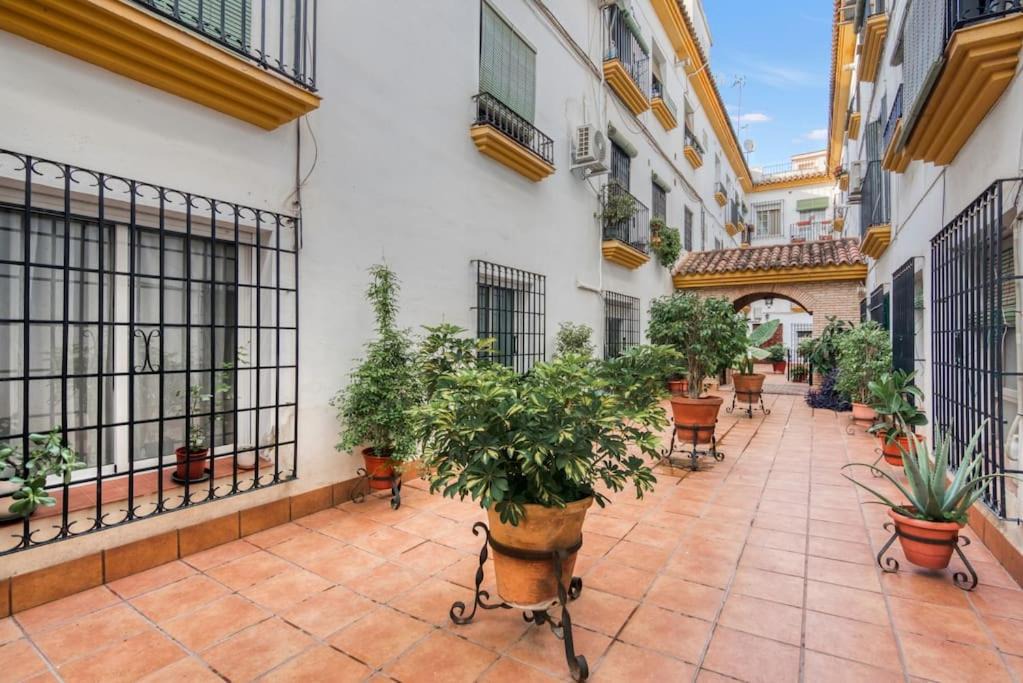 Photo of Patio Balcony in Distrito Centro