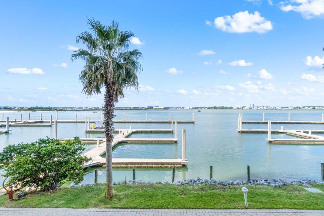Photo of Others in Orange Beach East
