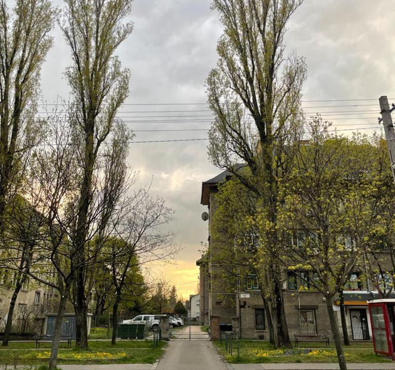Photo of Others in Kulso-Ferencvaros