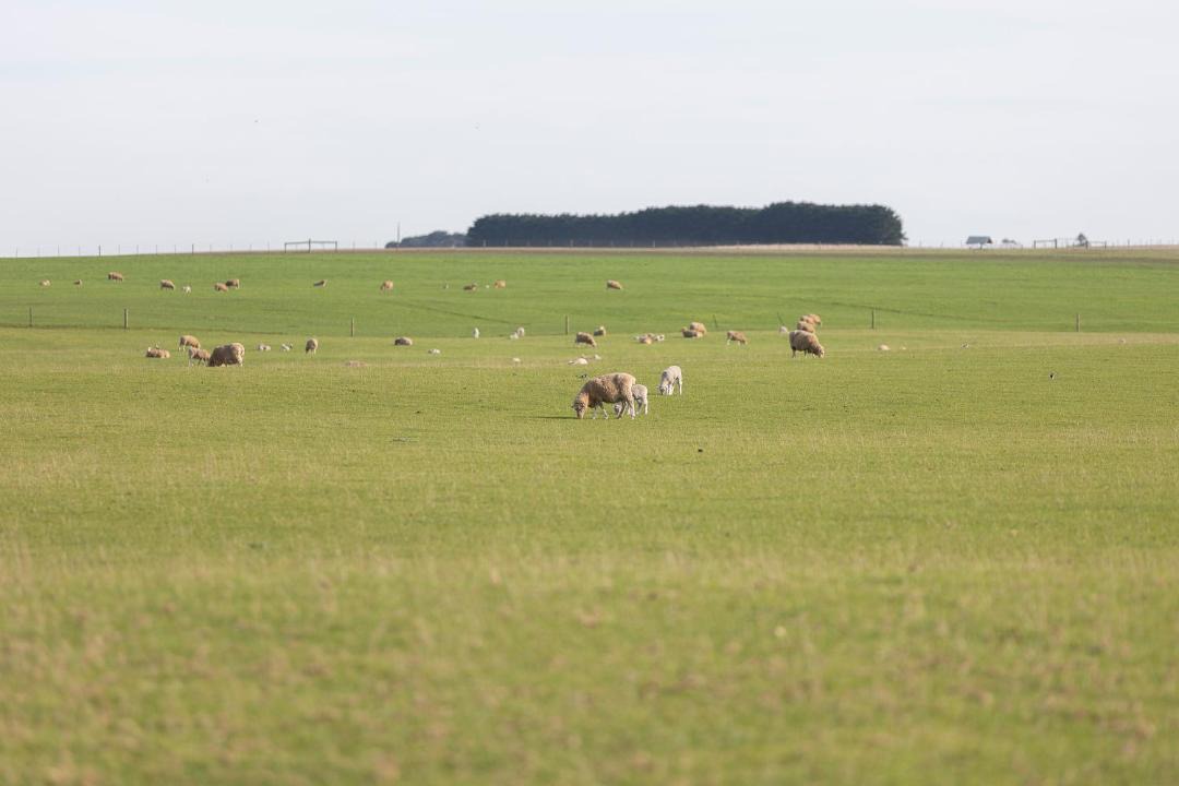 Photo of Others in Moorak