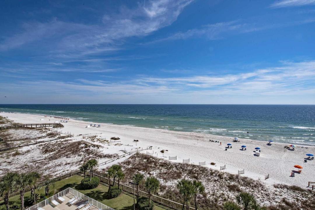 Photo of Others in Orange Beach East