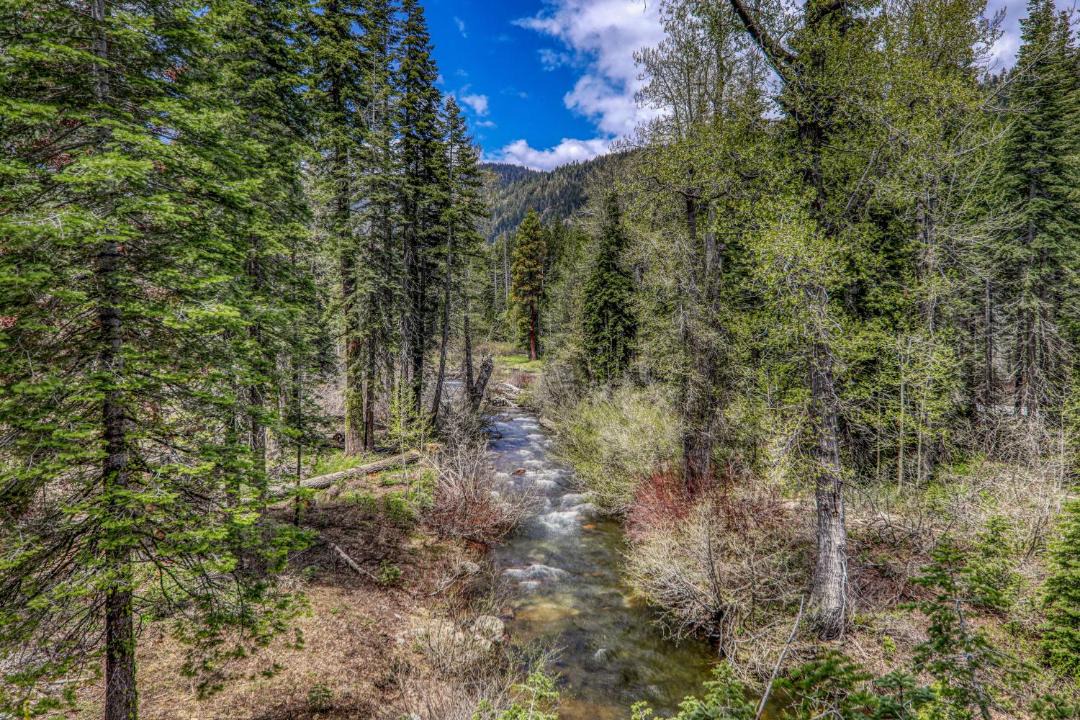 Photo of Others in Tahoe Pines