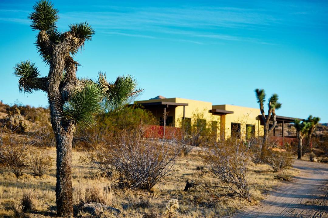 Photo of Others in Joshua Tree
