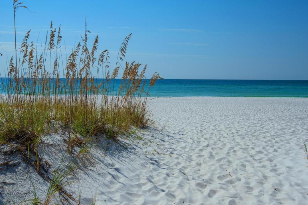 Photo of Others in Pensacola Beach