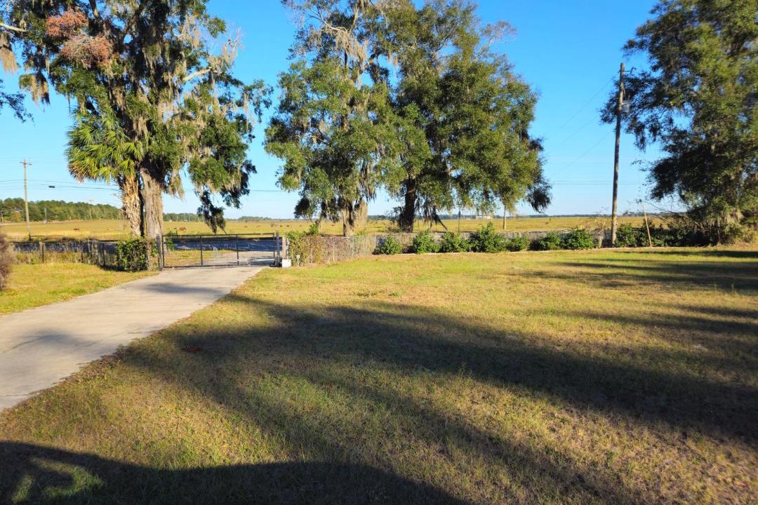 Photo of Others in Ocala