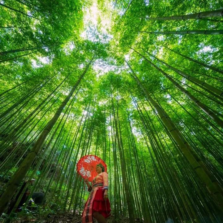 Photo of Human In Picture in Mu Cang Chai