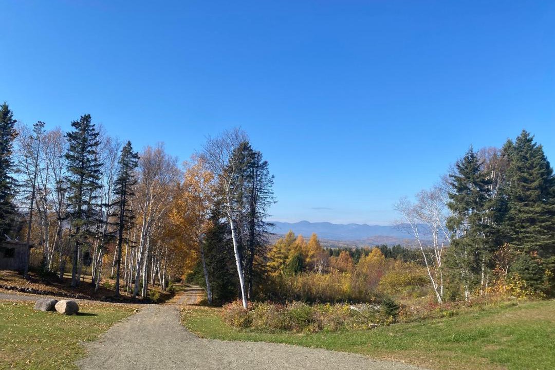 Photo of Others in La Malbaie