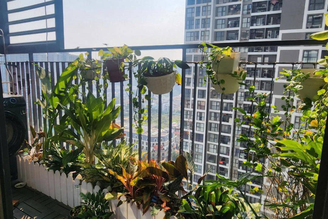 Photo of Patio Balcony in Gia Lam
