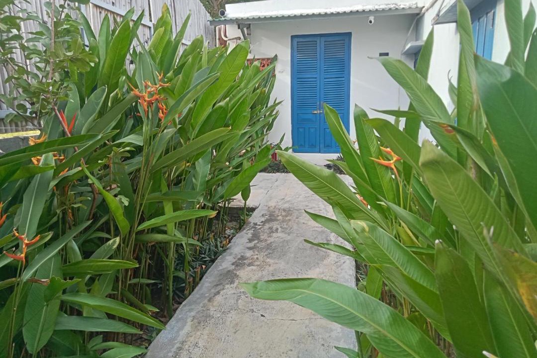 Photo of Others in Ninh Hai