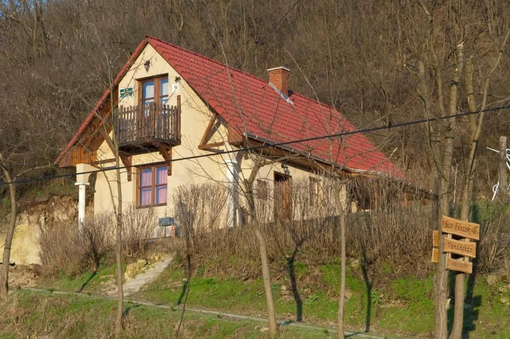 Photo of Others in Demjen