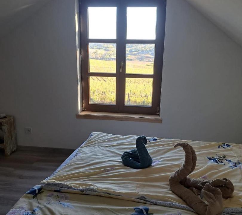 Photo of Bedroom in Mecseknadasd