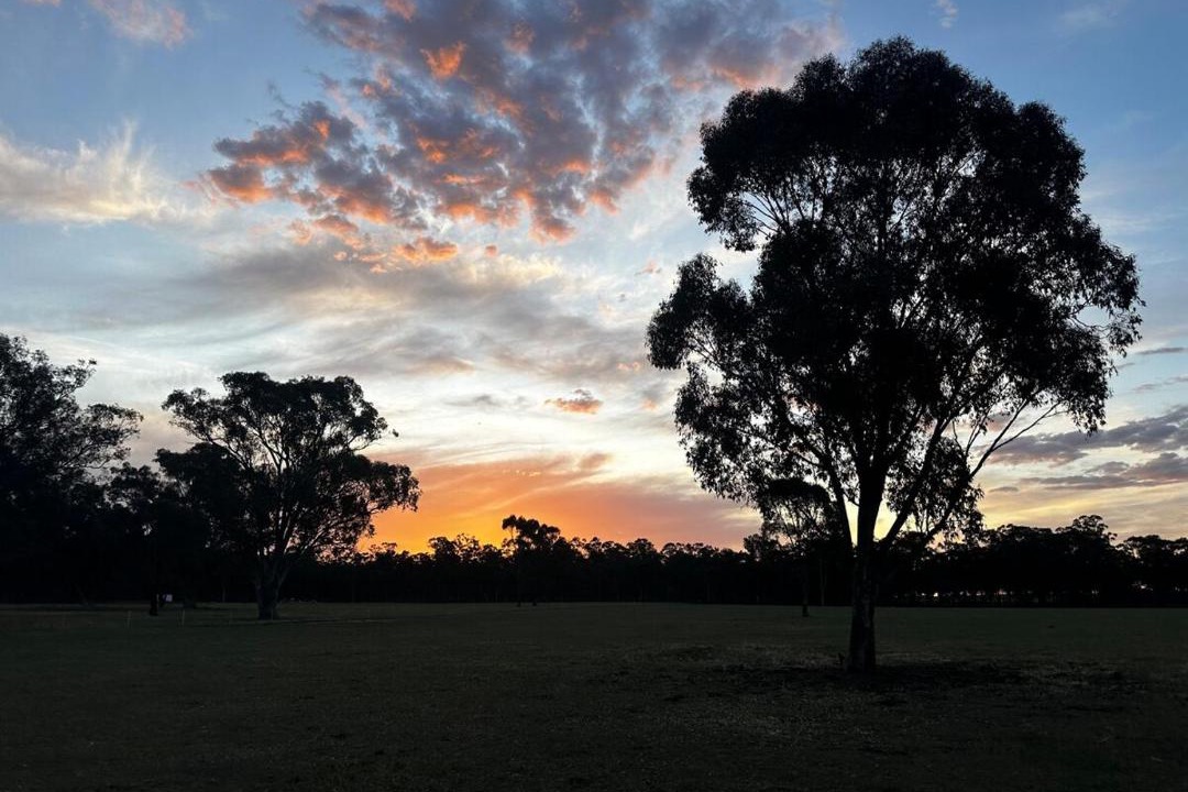 Photo of Others in Goornong