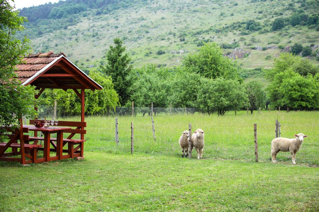 Photo of Others in Aggtelek