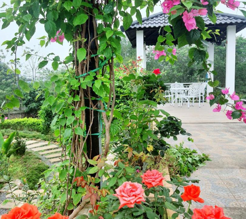 Photo of Others in Luong Son