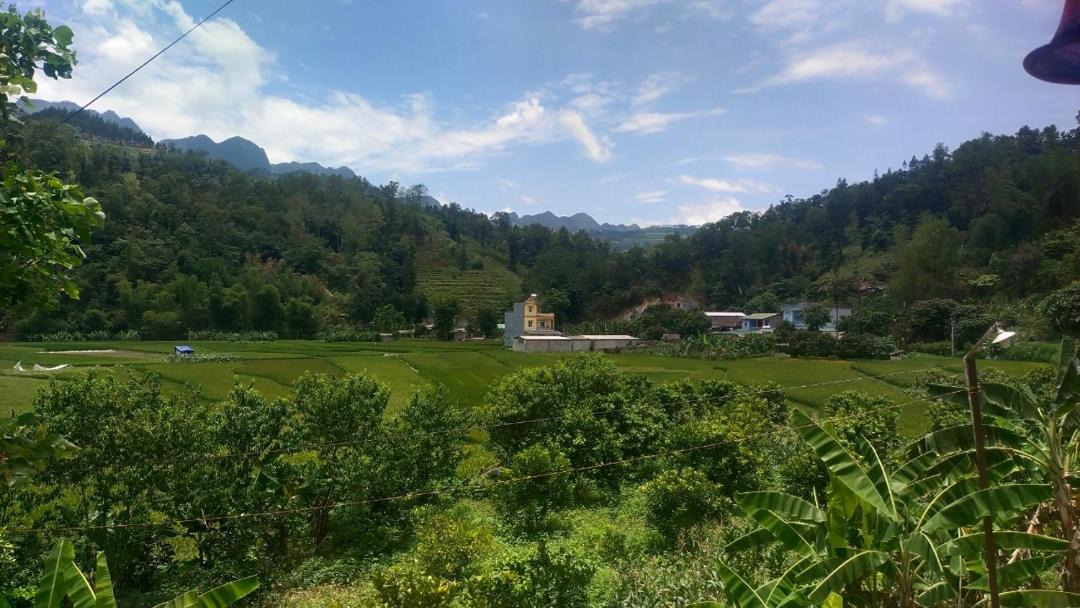 Photo of Others in Yen Minh