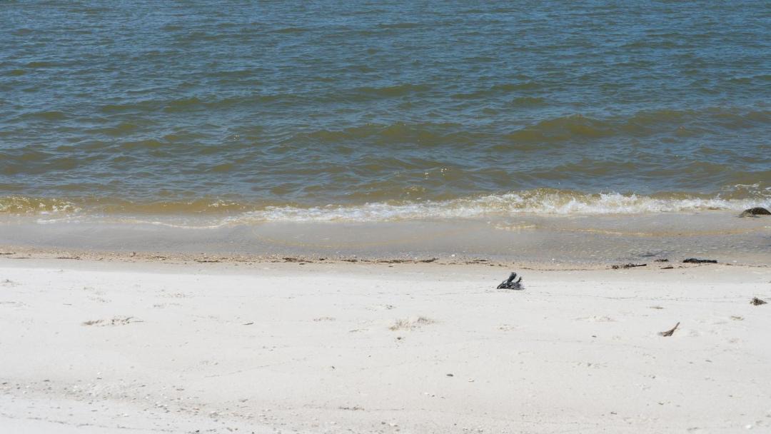 Photo of Others in Silver Cay