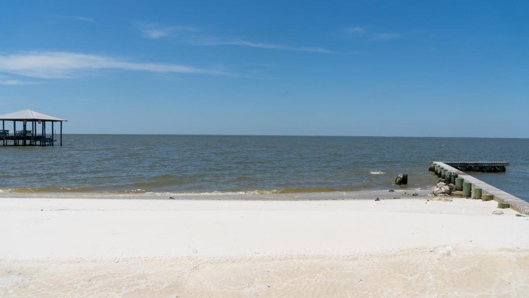 Photo of Others in Silver Cay