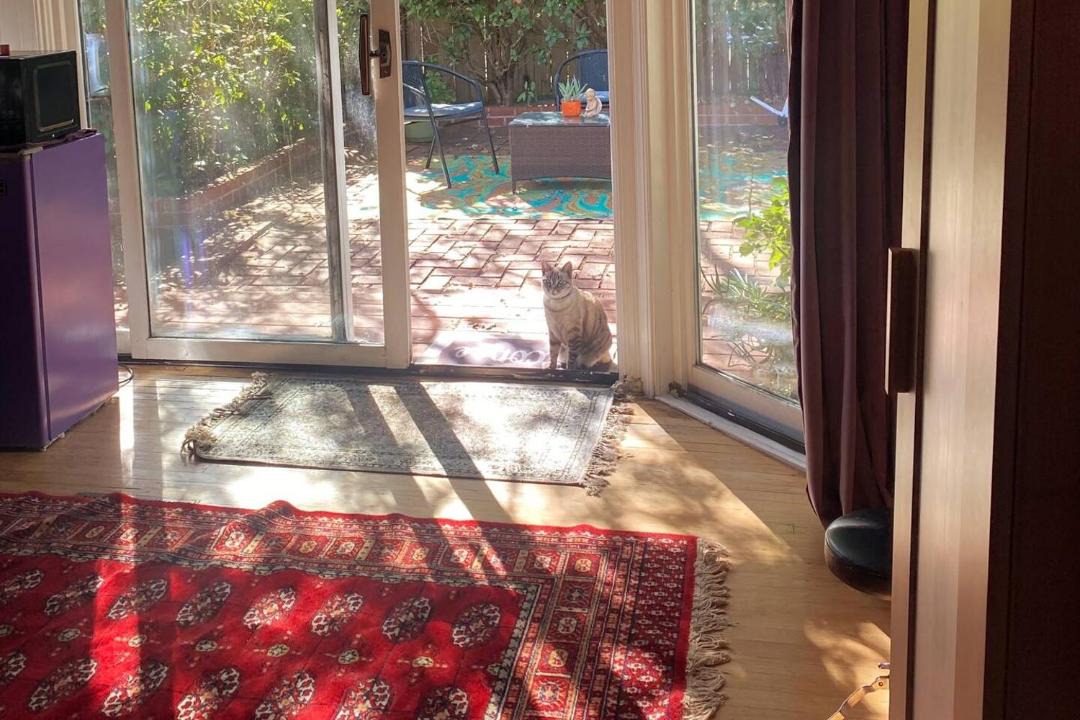 Photo of Others in San Anselmo