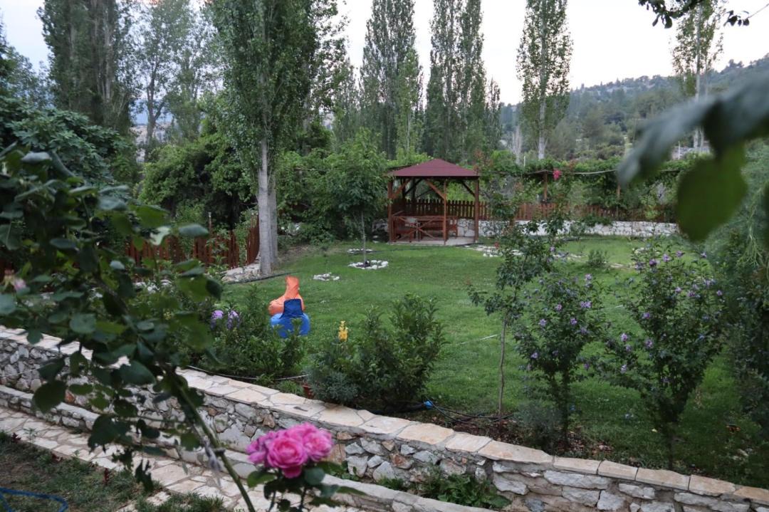 Photo of Others in Olympos