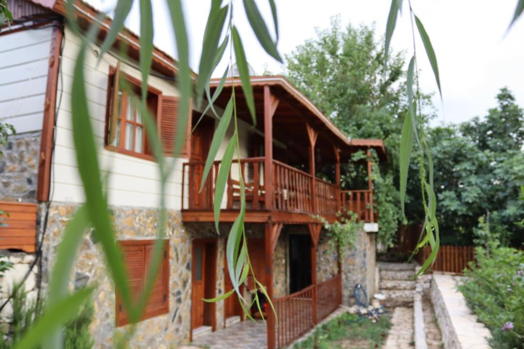 Photo of Others in Olympos