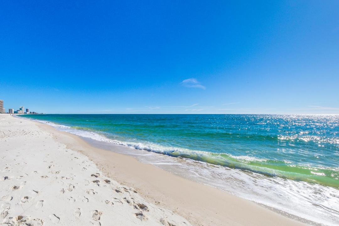 Photo of Others in Orange Beach