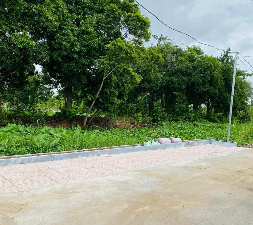 Photo of Others in Phong Dien