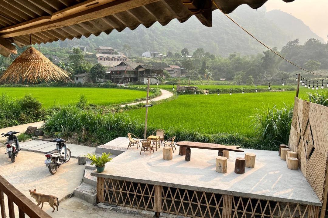 Photo of Others in Yen Minh