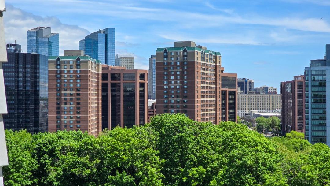 Photo of Others in White Plains