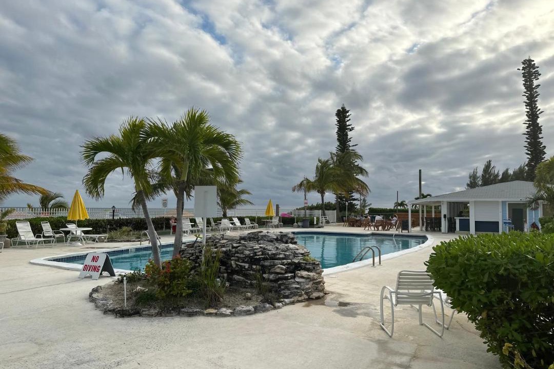 Photo of Others in Discovery Bay