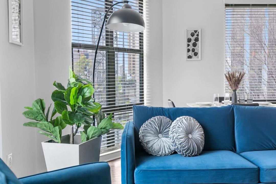 Photo of Livingroom in Five Points South