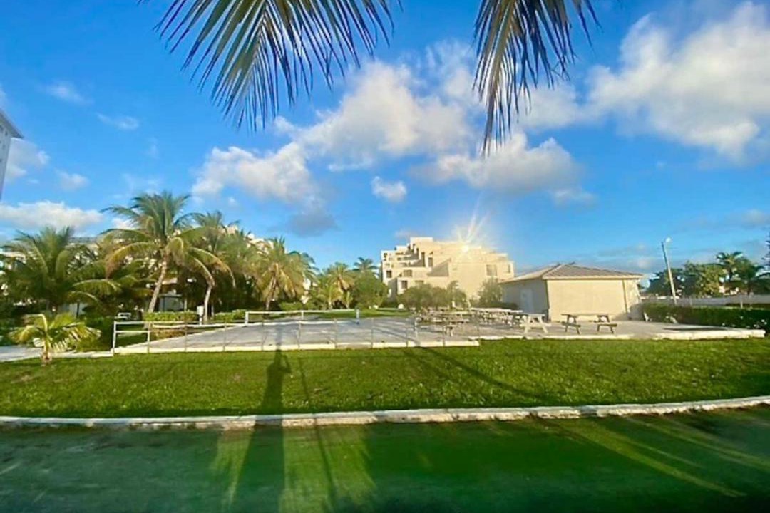 Photo of Others in Discovery Bay