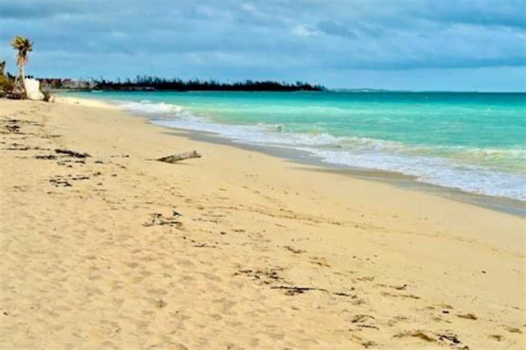 Photo of Others in Discovery Bay
