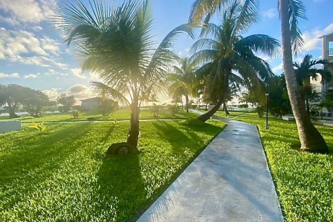 Photo of Others in Discovery Bay