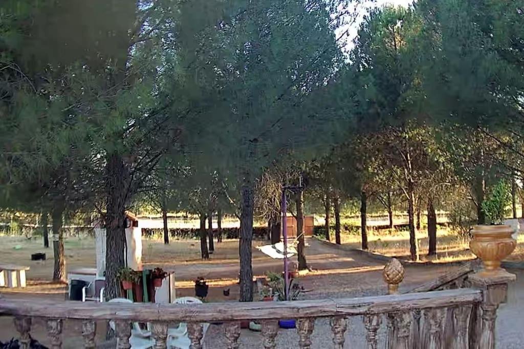 Photo of Others in Sotillo de la Adrada