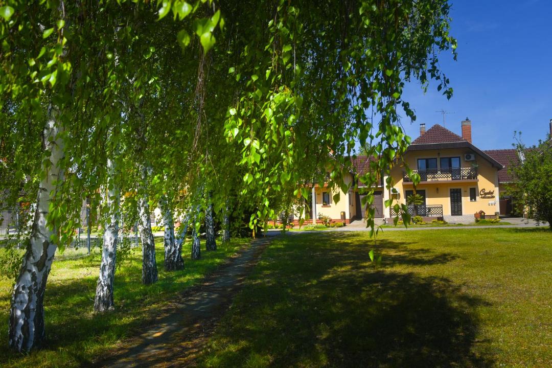 Photo of Others in Morahalom