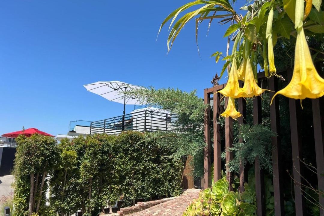 Photo of Others in Hollywood Hills West