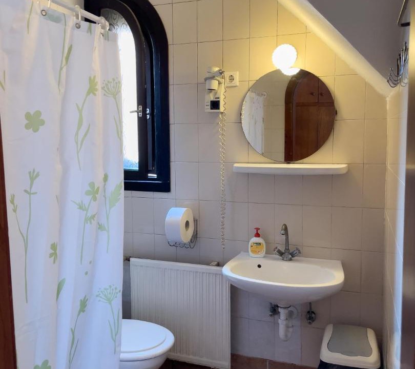 Photo of Bathroom in Pestujhely