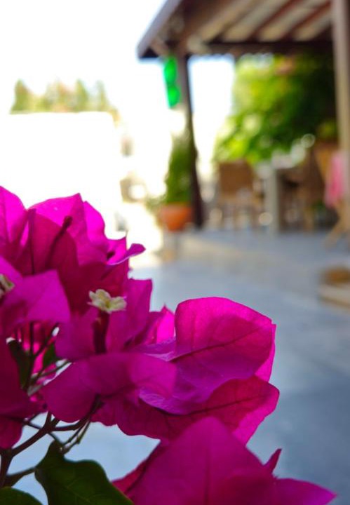 Photo of Others in Bodrum City Center