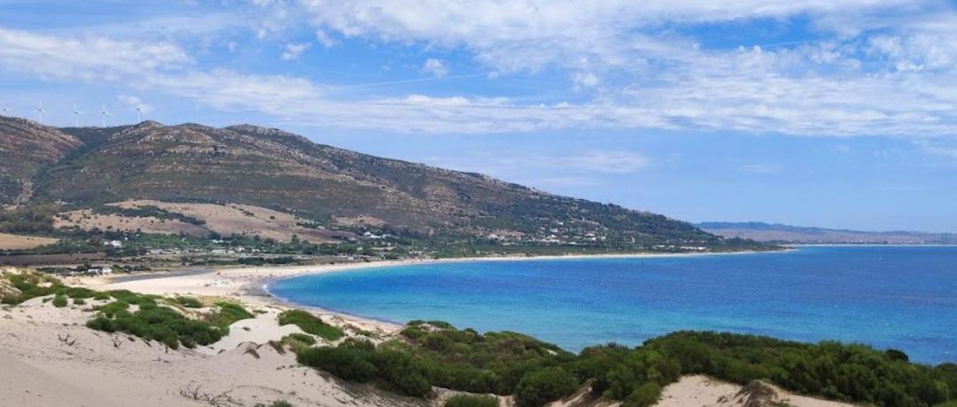 Photo of Others in Bolonia