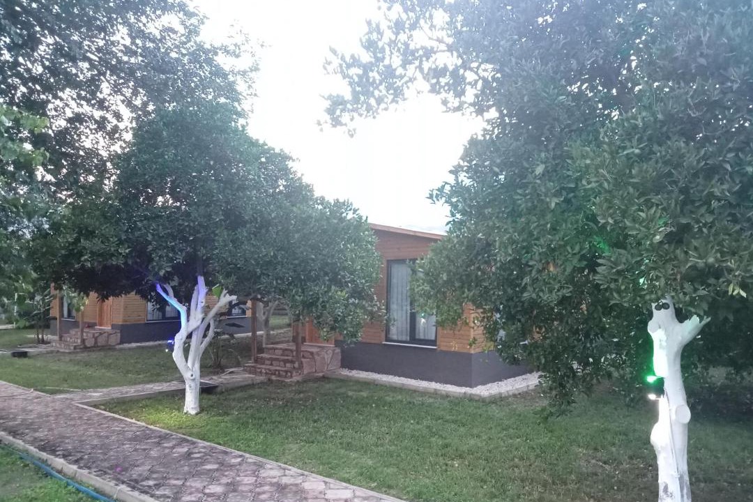 Photo of Others in Tekirova