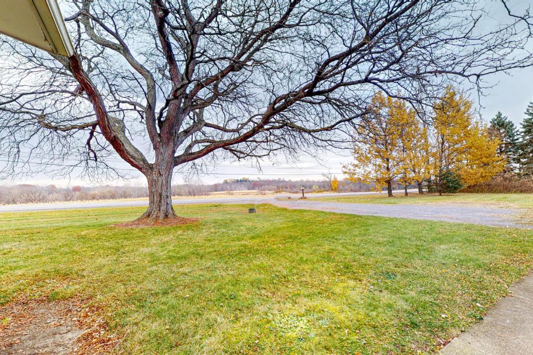 Photo of Others in Canandaigua