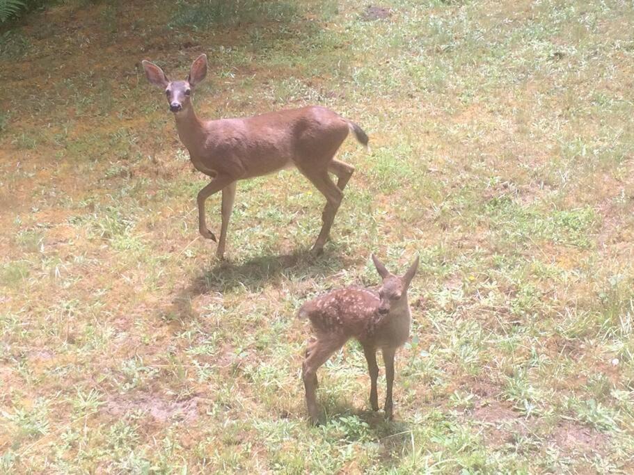 Photo of Others in Mendocino